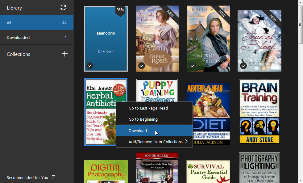 How to convert Kindle ebook to PDF